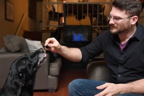 Brett Hartmann gives his dogs Cayley, a six-year-old-Labrador Retriever drops of a cannabis based medicinal tincture to treat hip pain and anxiety, June 8, 2017 at his home in Los Angeles, California. It's early morning, just after breakfast, and six-year-old Cayley is wide awake, eagerly anticipating her daily dose of cannabis.The black labrador, tail wagging, laps up the liquid tincture owner Brett Hartmann squirts into her mouth, a remedy he uses morning and evening to help alleviate Cayley's anxiety.As the multi-billion dollar medical and recreational marijuana industry for humans blossoms in the United States, so is a new customer base -- animals.