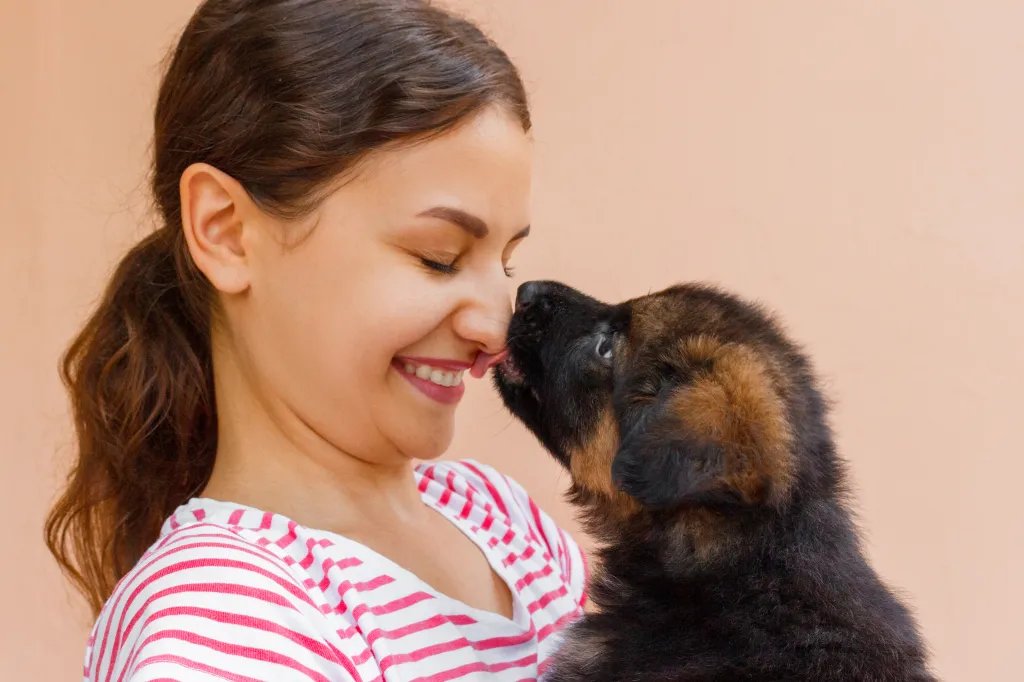 puppy licking a girl on the nose