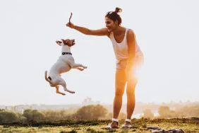 Woman playing with Jack Russell Terrier and stick, enjoying fun dog activities