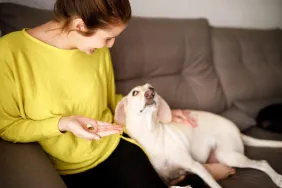 woman giving her dog nutritional supplements and vitamins