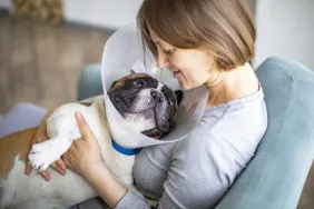 woman holding dog wearing collar after spaying and neutering procedure