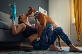 indoor dog exercises