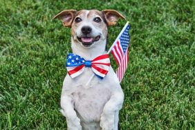 patriotic dog names inspired by political figures