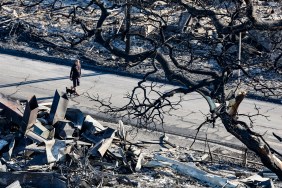 Man walking down street with dog in Lahaina, an area decimated by Maui wildfires.