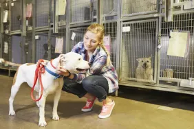 woman meeting dog at animal shelter