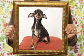 Woman holding brass frame of a custom portrait of small black dog sitting on a cushion. Background of image is flowered wallpaper.